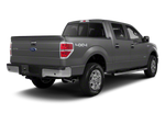 2010 Ford F-150 Platinum
