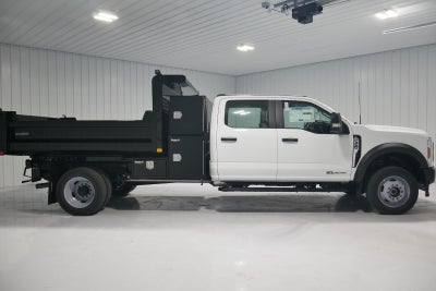2025 Ford Super Duty F-450 DRW 9' DYNAPRO W/ BUYERS L-PAK