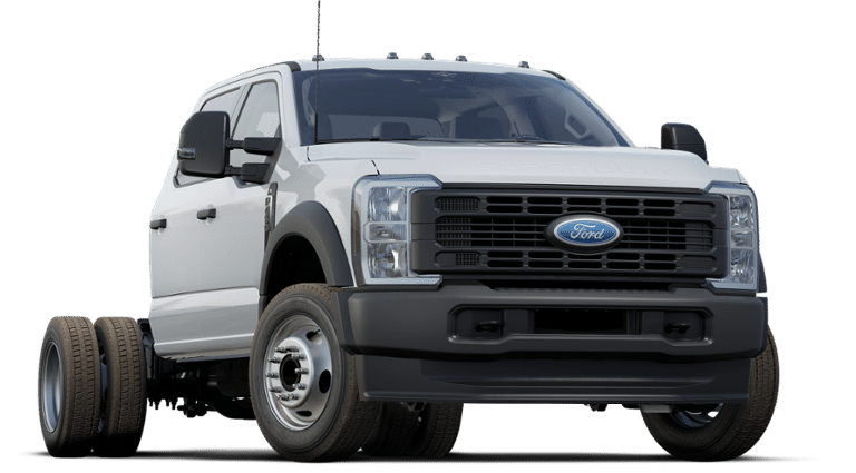 2025 Ford Super Duty F-450 DRW 9' DYNAPRO W/ BUYERS L-PAK