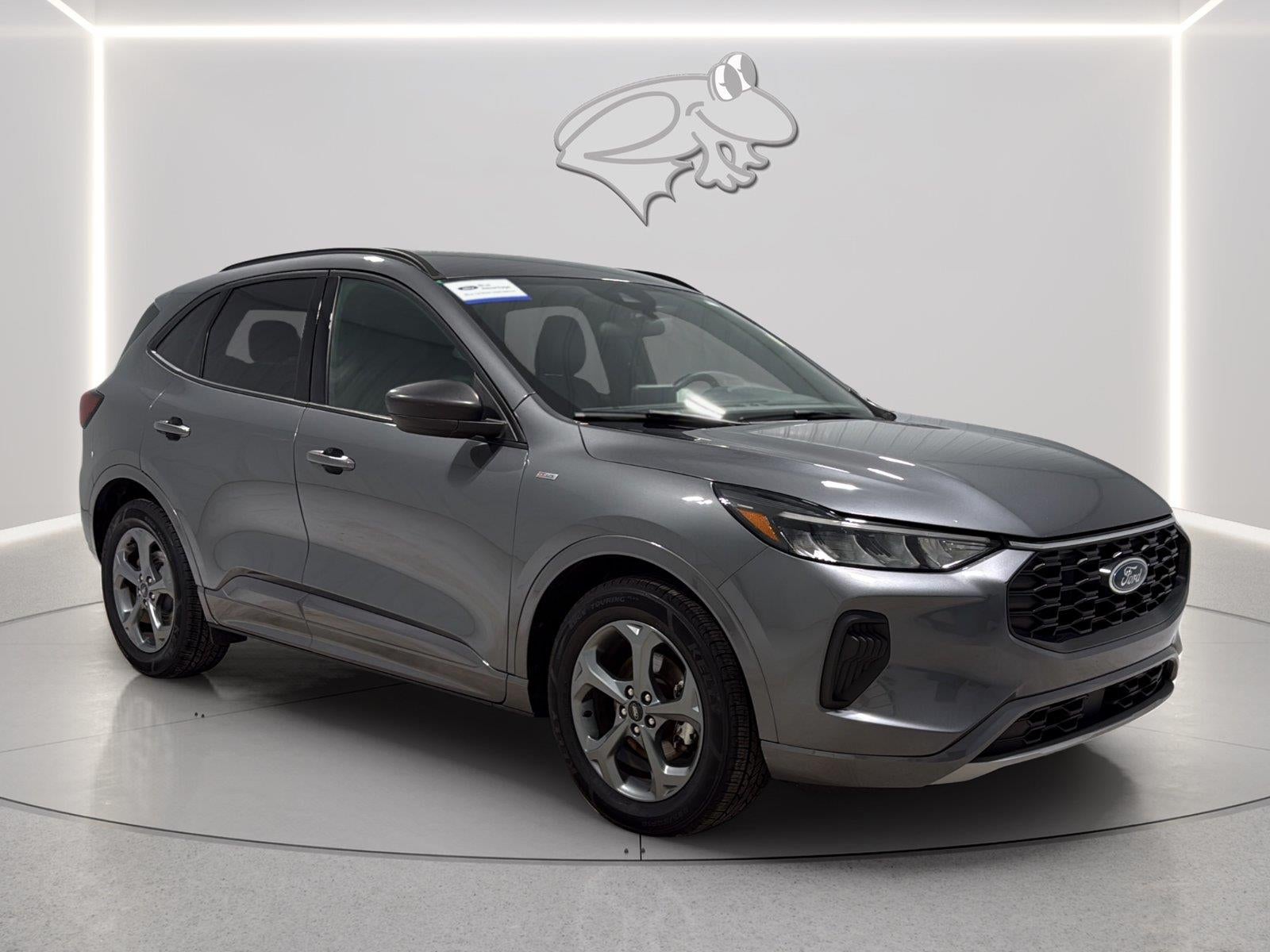 Photo 7