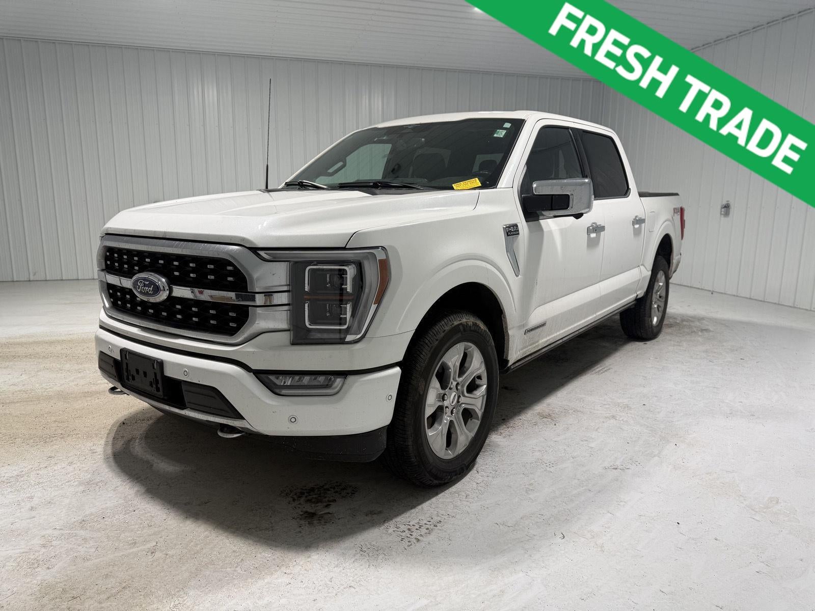 2023 Ford F-150 Platinum