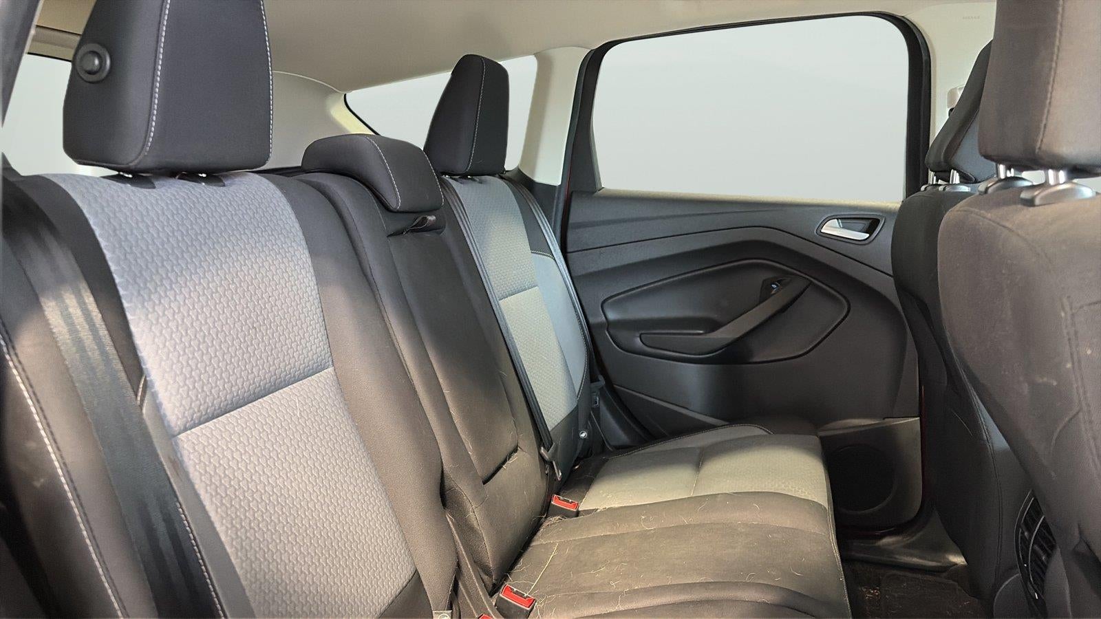 2019 Ford Escape SE - Photo 15