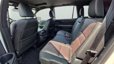 2024 Honda PASSPORT BLKEDN