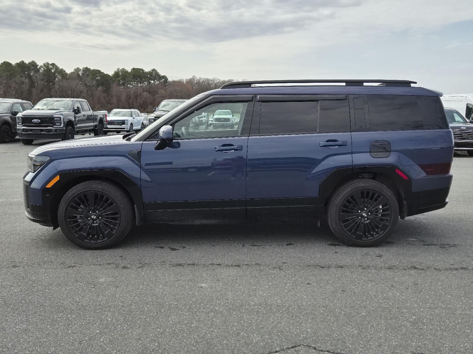 2025 Hyundai Santa Fe Hybrid Calligraphy