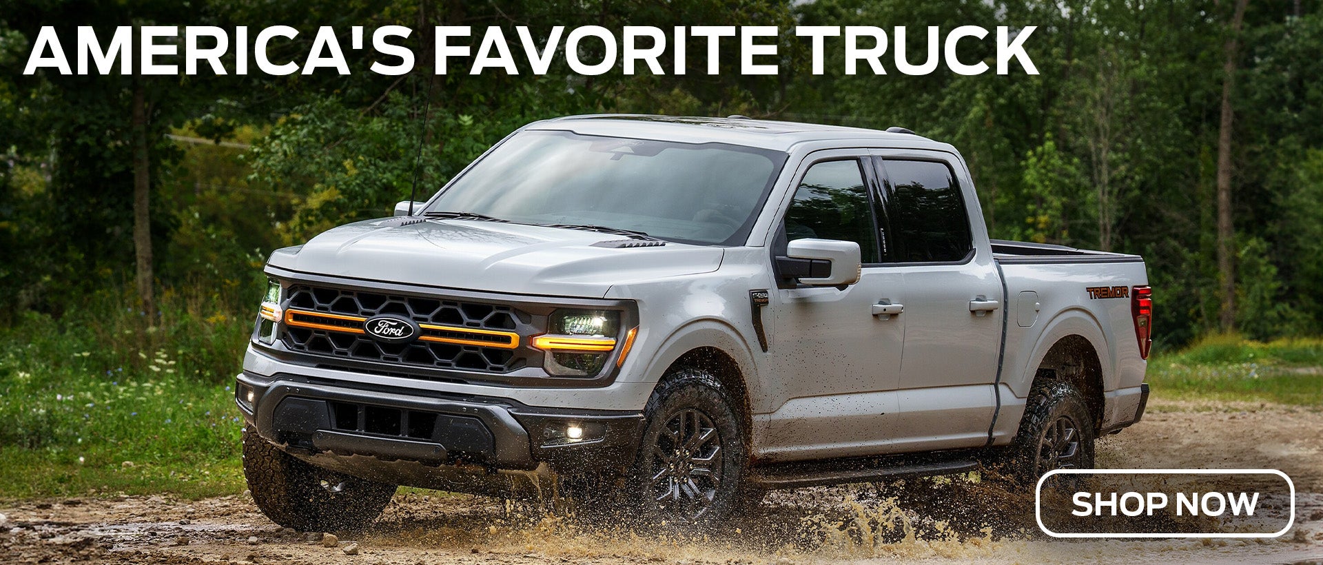 Ford F-150 Easton MD